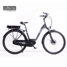 BAFANG Mid-Laufwerk 36V250W beste Qualität Elektrofahrrad zu verkaufen